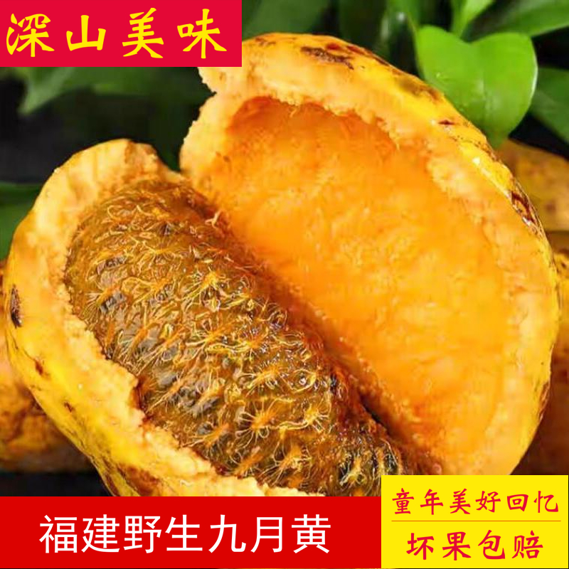 【顺丰冷链】九月黄八月瓜九月瓜野果新鲜现摘福建八月炸木通果