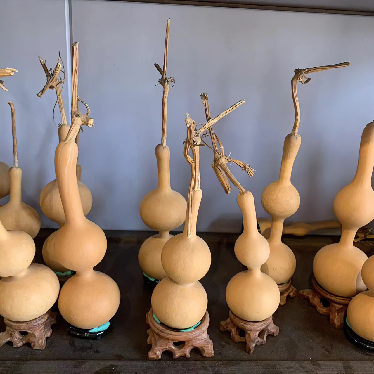 精品葫芦批发零售（1号链接）