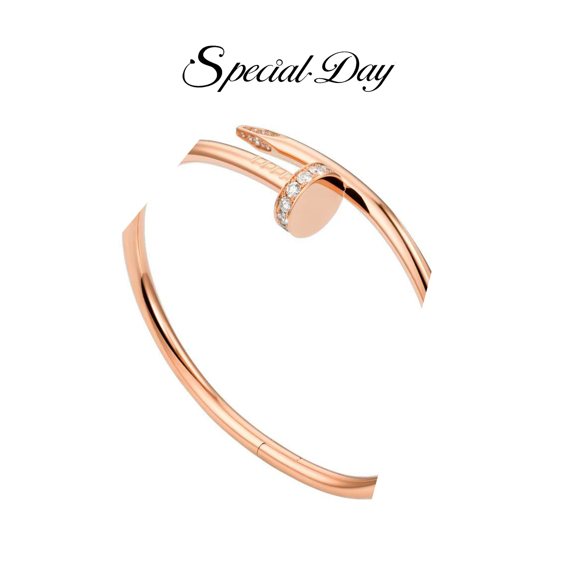 SPECIAL DAY 925银手镯 气质轻奢时尚粗钉子手镯SZ10