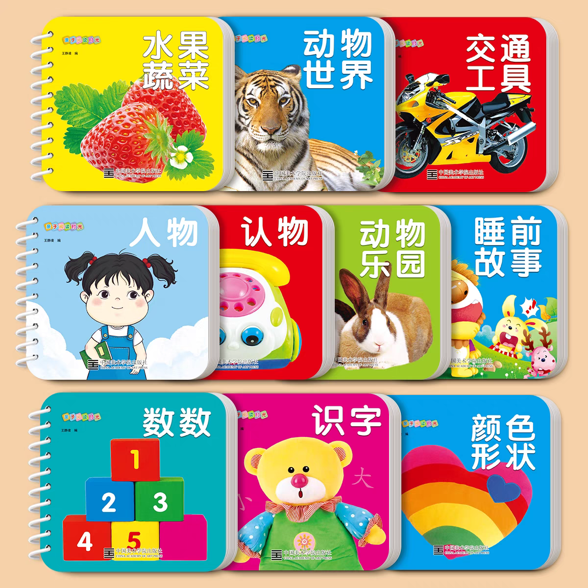 早教书0-3岁早教启蒙 益智玩具撕不烂卡片书（全10册）儿童启蒙早教