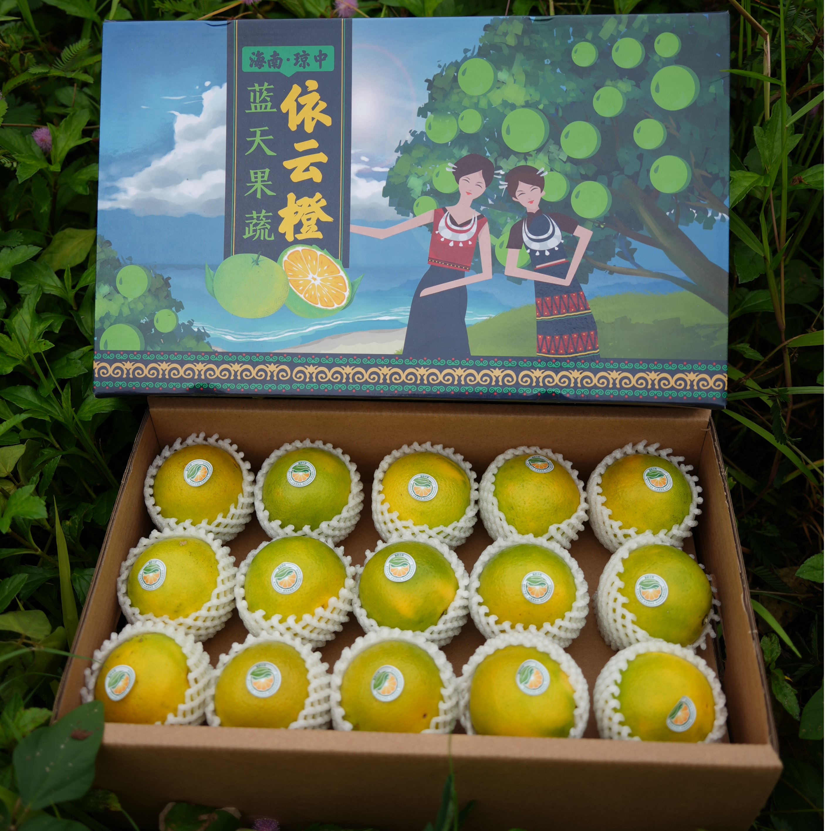 海南琼中依云橙一级果10斤装（小中大）25-40个新鲜直发果园自产