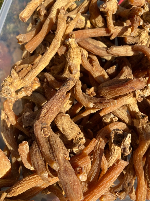 【大山好物】原枝髙丽参250g-500g