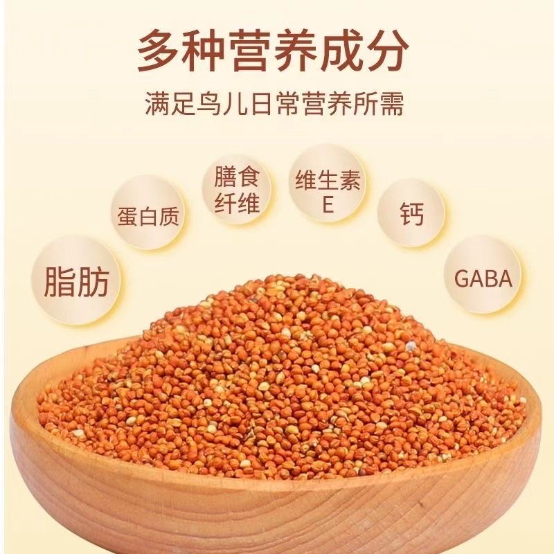 雪鸽专用粮红谷子黄谷子带壳小米粟谷玄凤虎皮牡丹鹦鹉鸟粮鸟食用