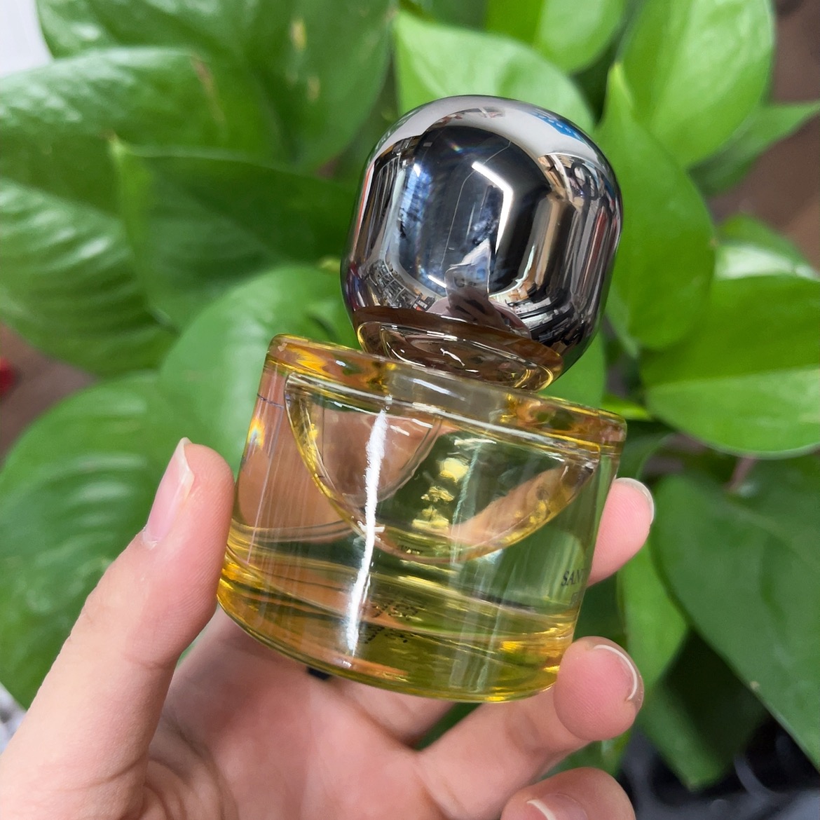 【言言专属二】小摩哥橙花香氛香水