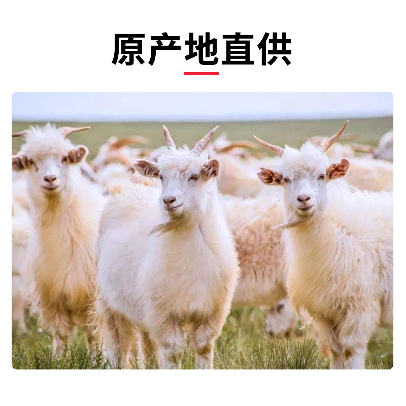 阿尔巴斯鲜山羊肉整羊鄂托克原产地散养整扇50%腿排20斤40斤专属