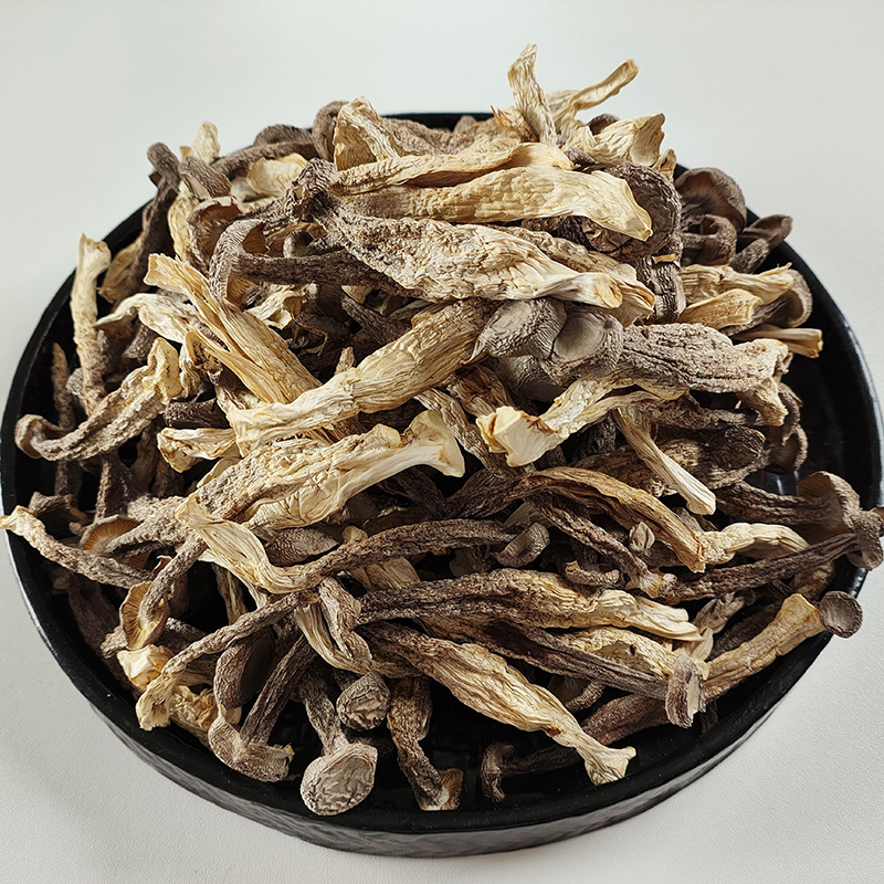 【阿钗甄选】鹿茸菇干货500g包邮特级优质鹿茸菌无硫新鲜土特产