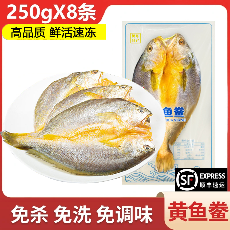 【5+3发8条】250g/条宁德霞浦黄鱼鲞咸香大黄鱼黄花鱼鲜冷冻免杀