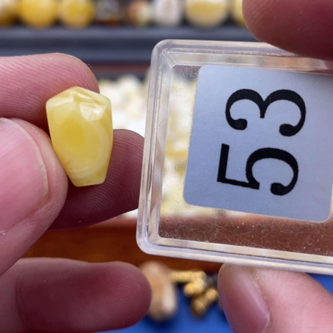 【闪购商品】琥珀珠宝奇石未镶嵌