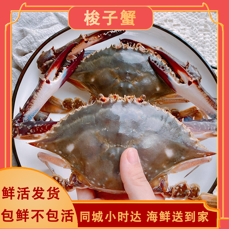 【鲜活/保鲜不保活】梭子蟹/（1-3两/只）/杭州同城/海平鲜道