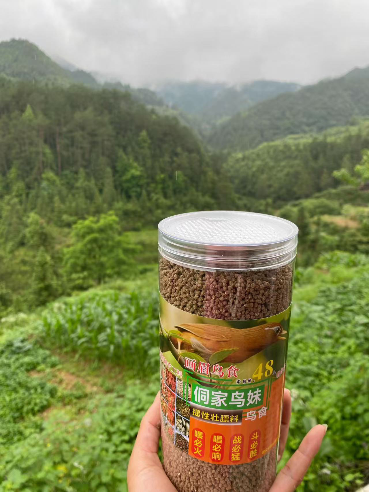 侗家鸟妹48斗鸟提性壮膘料手工制作营养料唱鸟母斗鸟料画眉鸟饲料