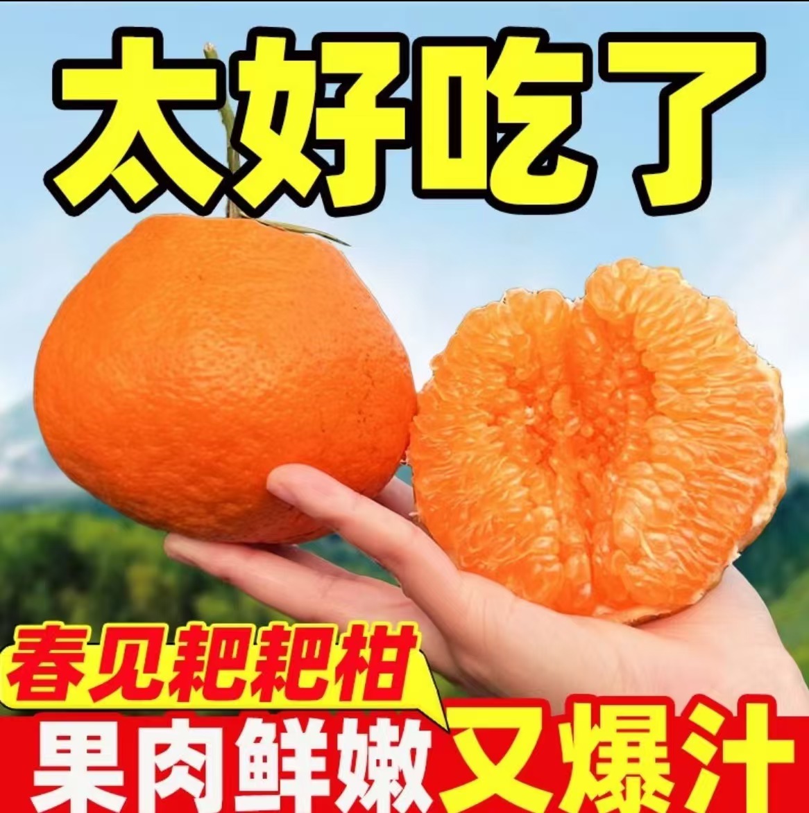 【村书水果】春见耙耙柑产地自然成熟酸甜多汁眉山产地现摘现发柑橘