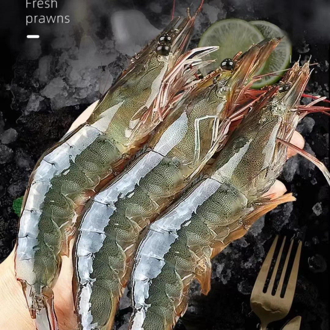 40/50海洋大虾鲜活速冻新鲜南美白对虾青虾特大海水虾海捕大虾