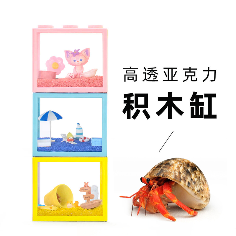 小豆丁寄居蟹饲养套装套餐～寄居蟹活体饲养盒饲养缸桌面观赏