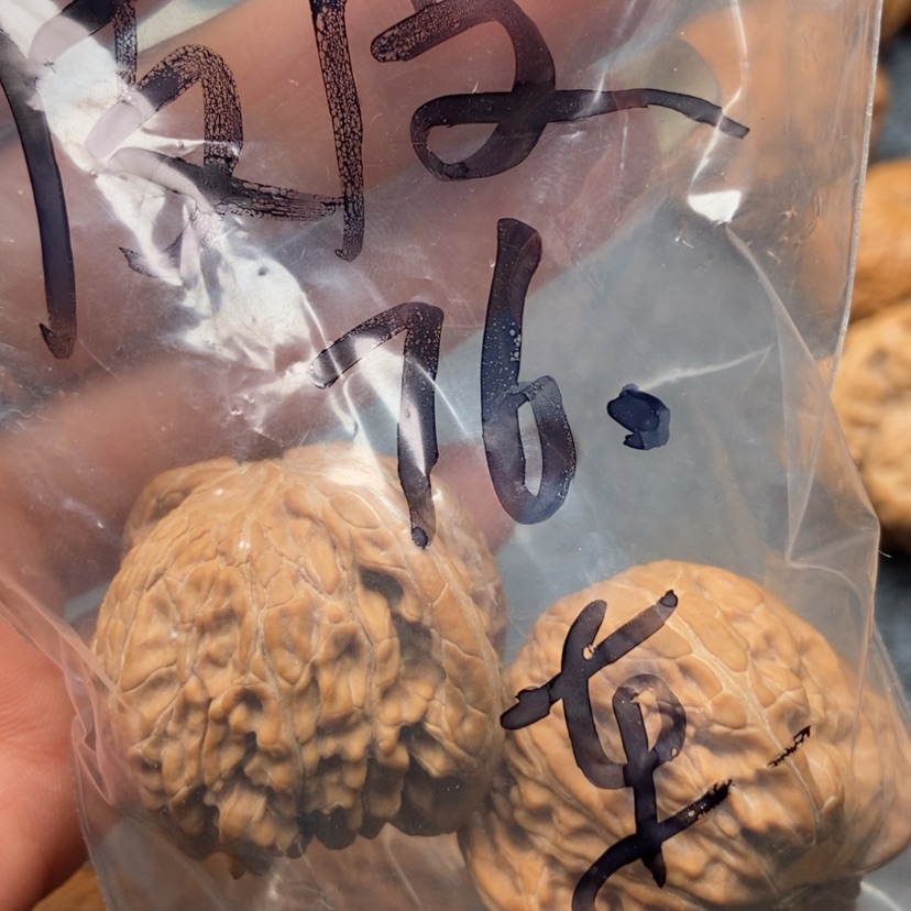 【闪购商品】文玩核桃吊坠皮***虾