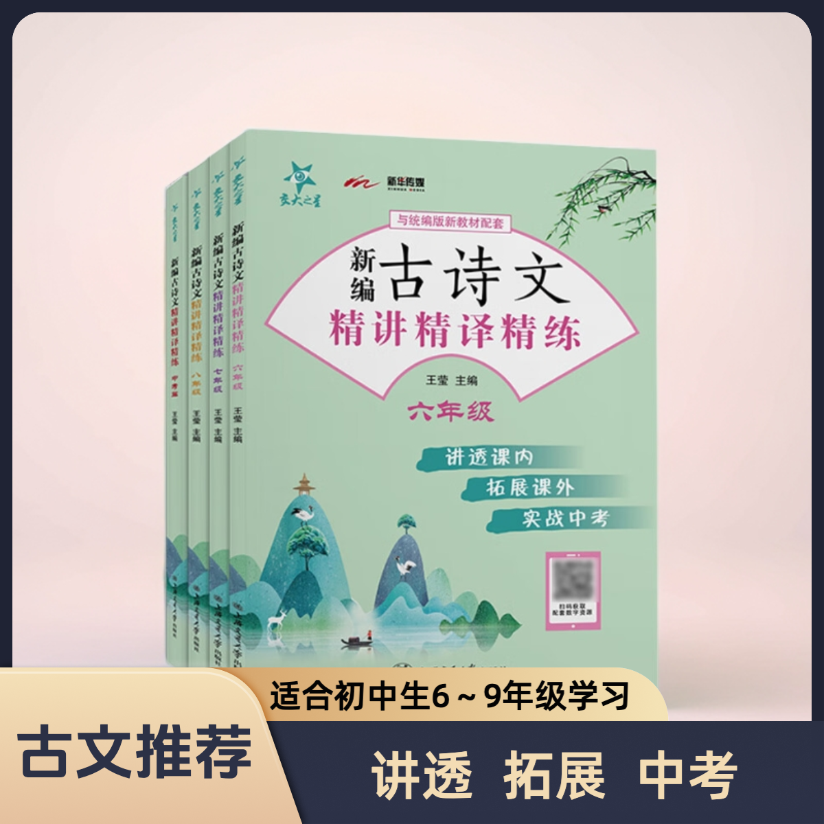 新编古诗文精讲精译精练初中系列（共4册）文言文中考阅读知识语文