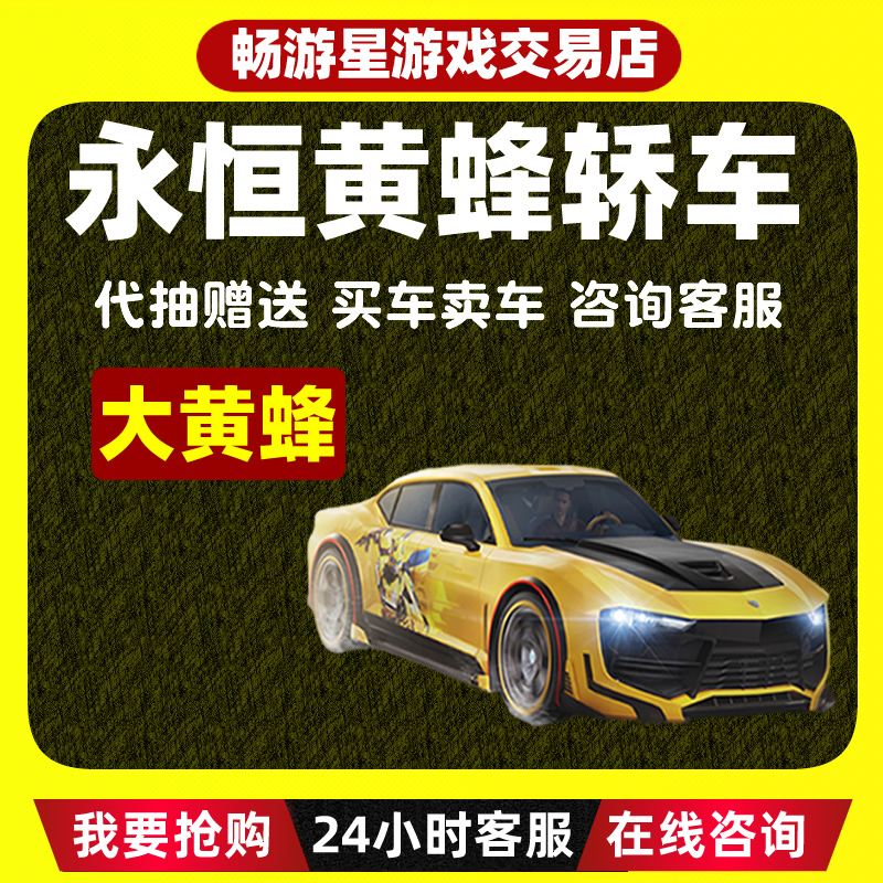 (支持月付)和平精英皮肤出售车钥匙币永恒黄蜂载具代抽吃鸡游戏币