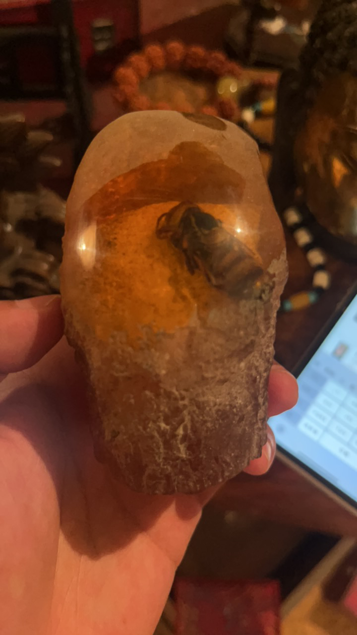【闪购商品】190树摆件一个