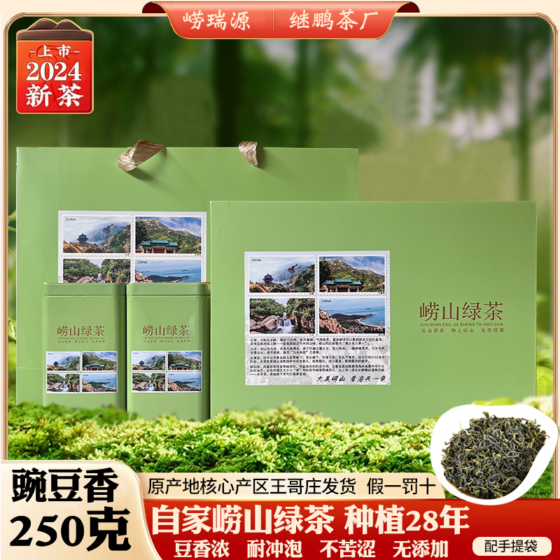 正宗崂山绿茶2024新茶春茶6月初豆香浓卷曲茶礼盒装半斤装青岛