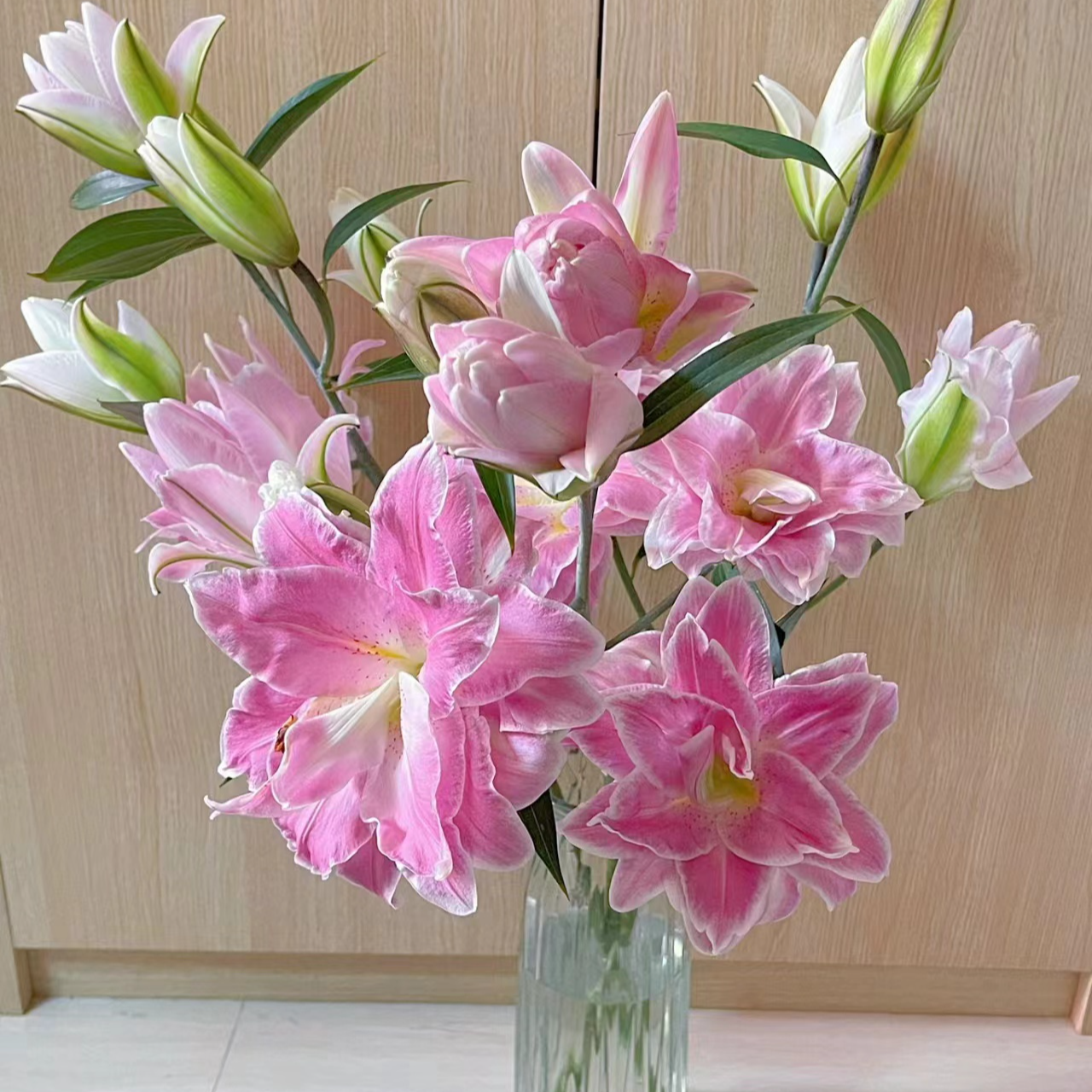 多头【莲花之境】重瓣百合栀子清香 夏天小清新 粉红色  可爱灵动