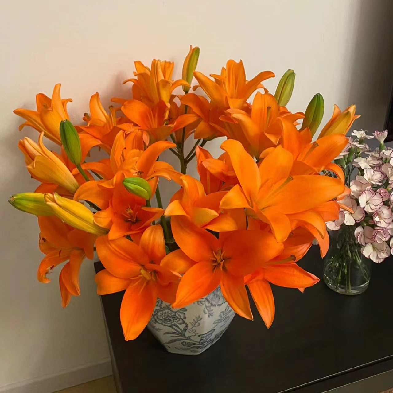 多头【橙色梦想】单瓣百合 夏天小清新  橙黄色  没有香味 小花苞