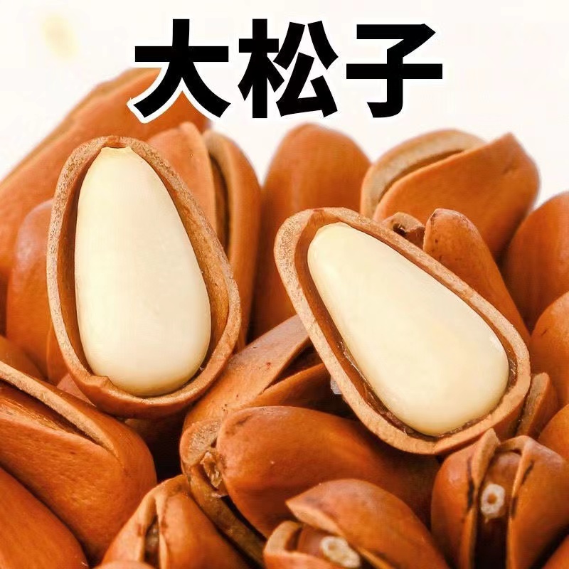 亏本冲量】东北松子原产地直销特大颗粒非松鼠2023新货10g零食坚果