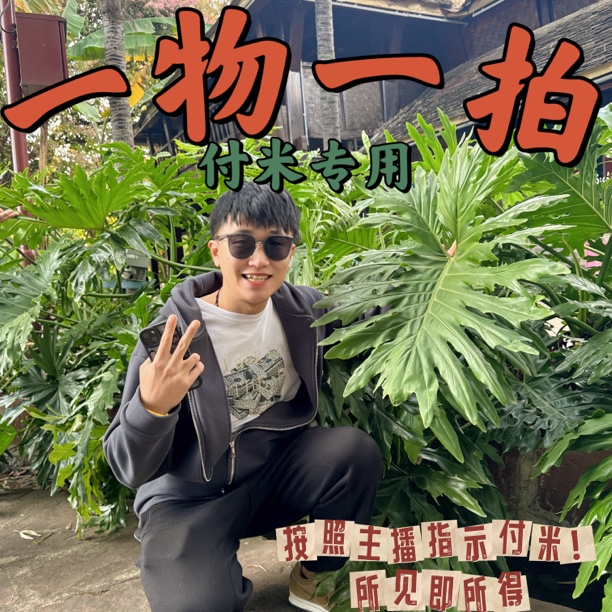 【一物一拍】听清序号！拍啥发啥 网红热植盆栽