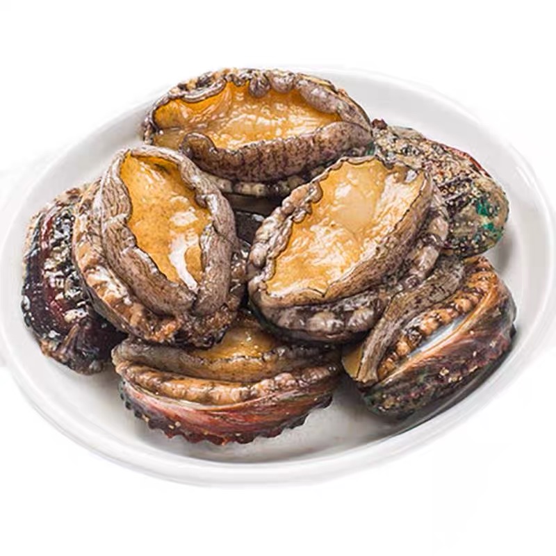 【上街弟海鲜】鲍鱼帝王蟹/黄金鲍鱼/做法简单/新鲜/肉质紧实鲍鱼肉