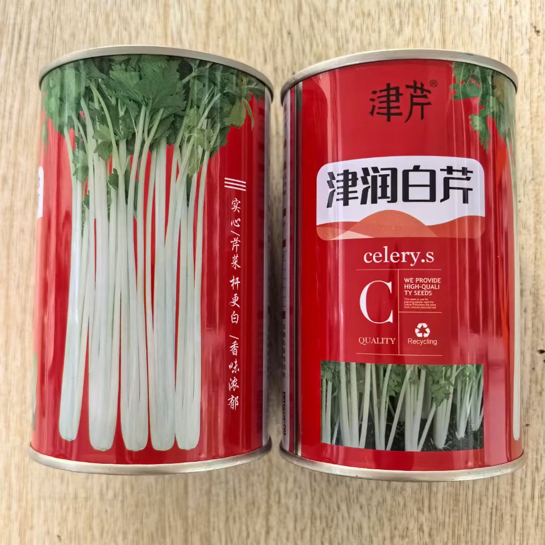 正宗白芹菜种子实心白香芹种子香味浓郁白杆芹菜蔬菜种籽