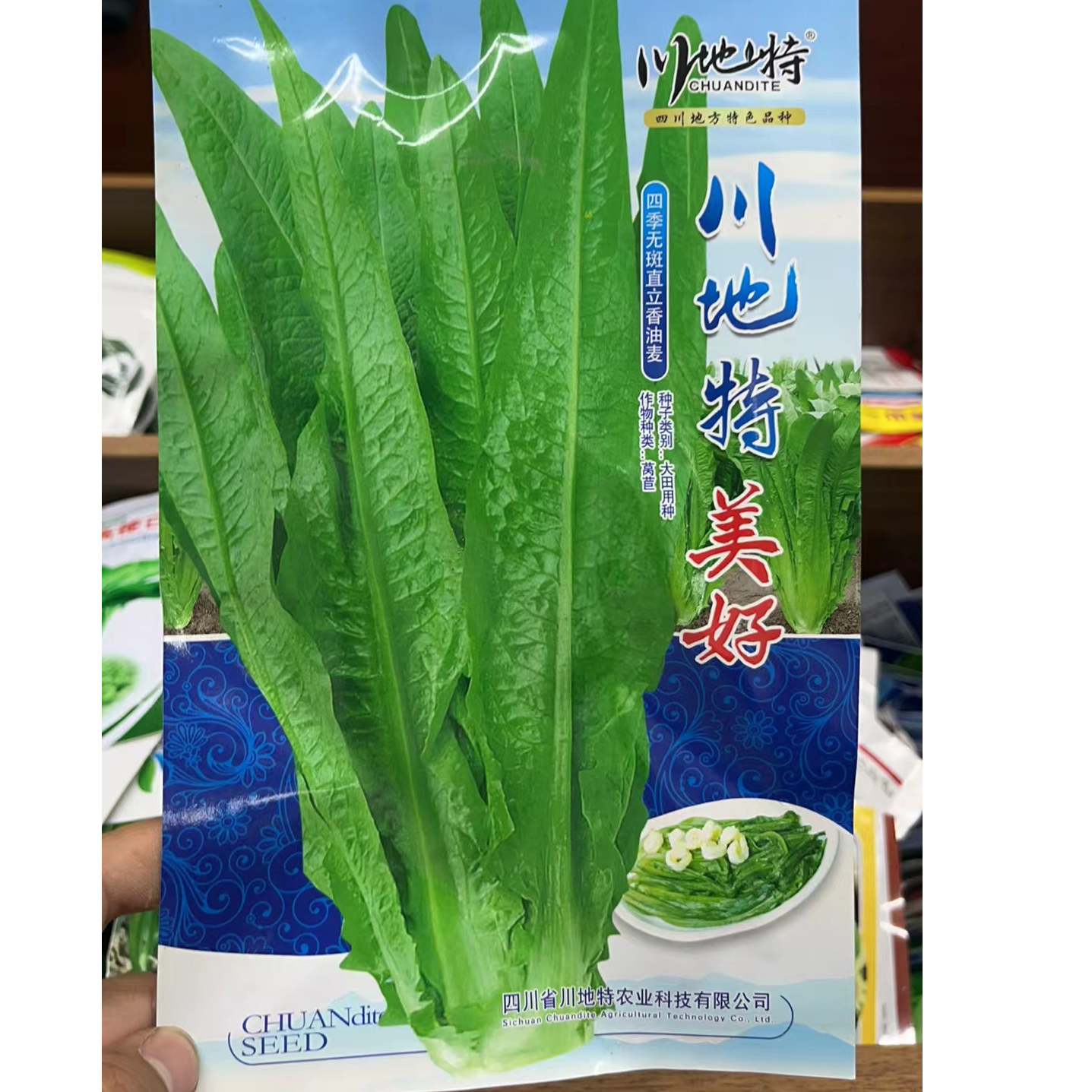 四季油麦菜种子尖叶香脆油麦菜农业家庭菜园蔬菜种子四季高产耐热