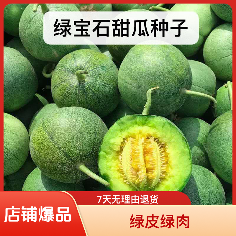 绿宝石甜瓜种子绿皮多汁口感好四季早熟高产