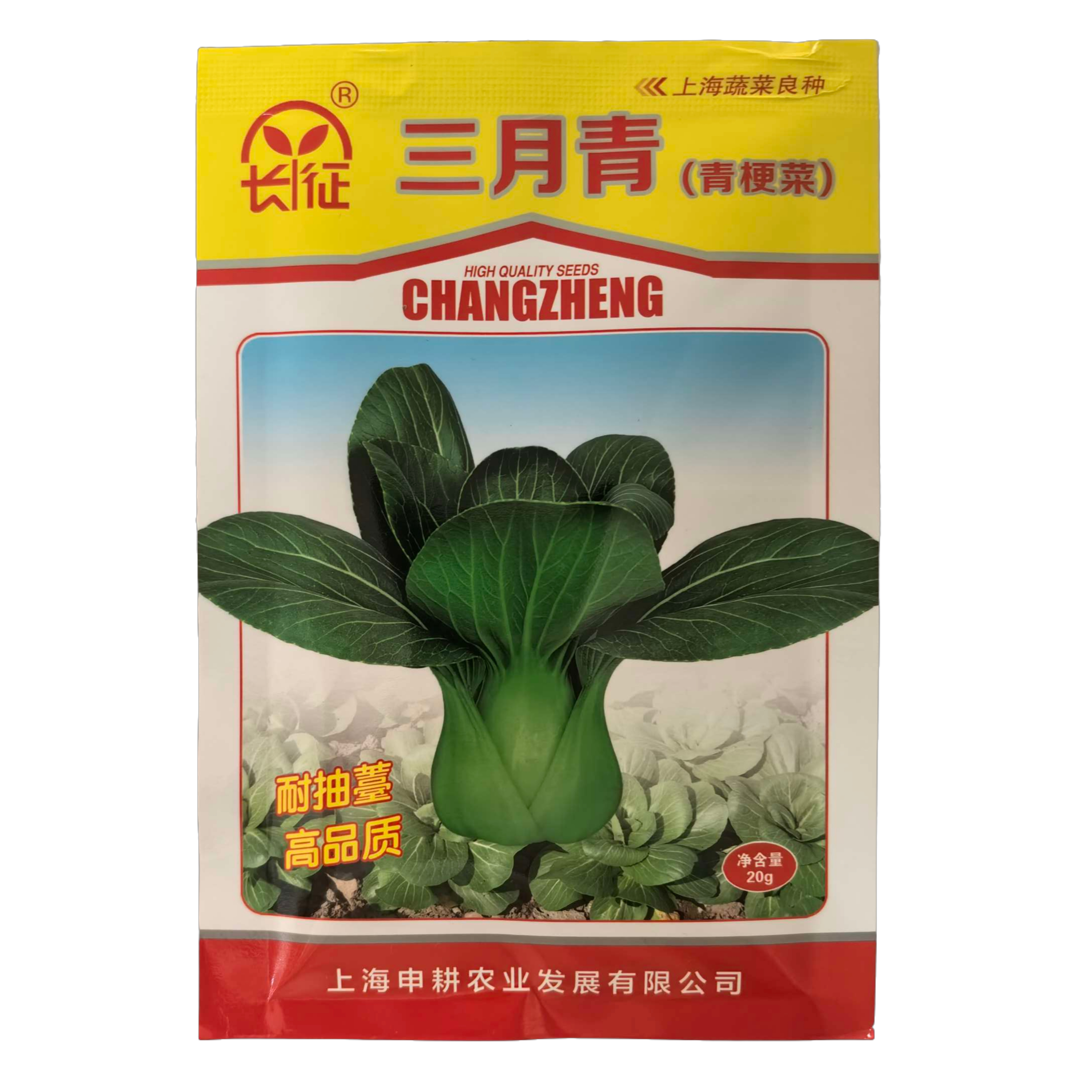 耐抽苔青菜种子三月青春秋冬季蔬菜种子绿油油青梗菜