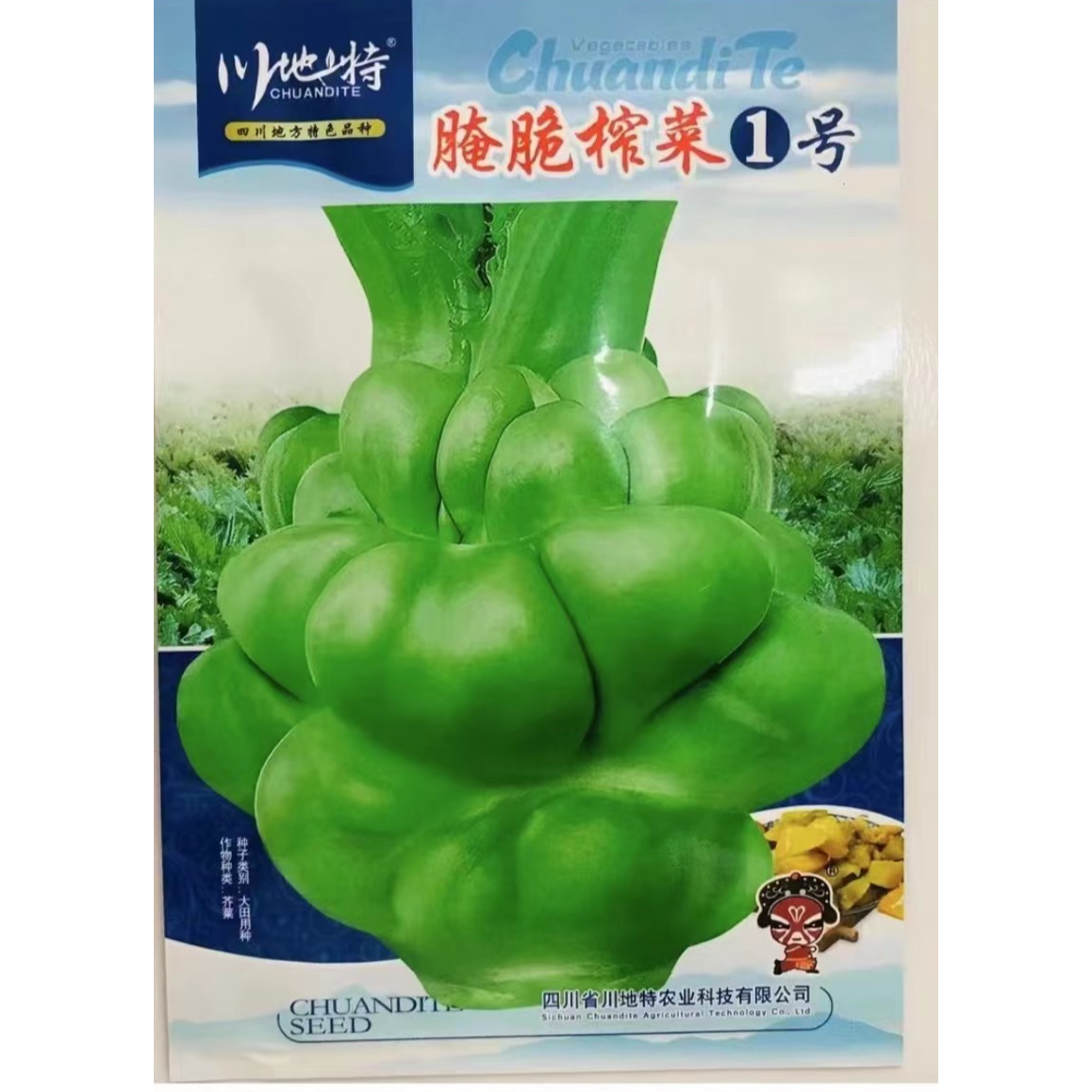 榨菜种子大榨菜腌制榨菜芥菜疙瘩肉质细嫩肥厚耐寒秋播蔬菜种子
