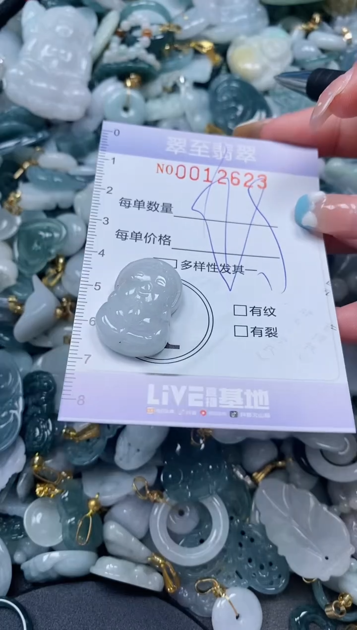 【闪购商品】翡翠颈饰未镶嵌闪购0012623