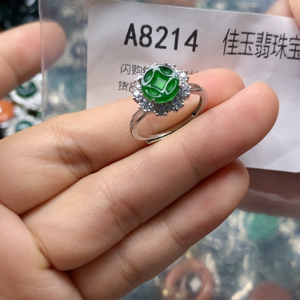 【闪购商品】翡翠颈饰未镶嵌