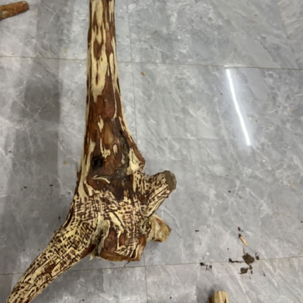 海南黄花梨工艺品