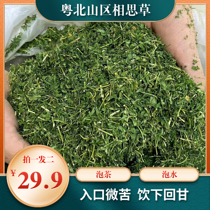 粤北山区相思草 鸡骨草叶扌户月干茶泡水喝