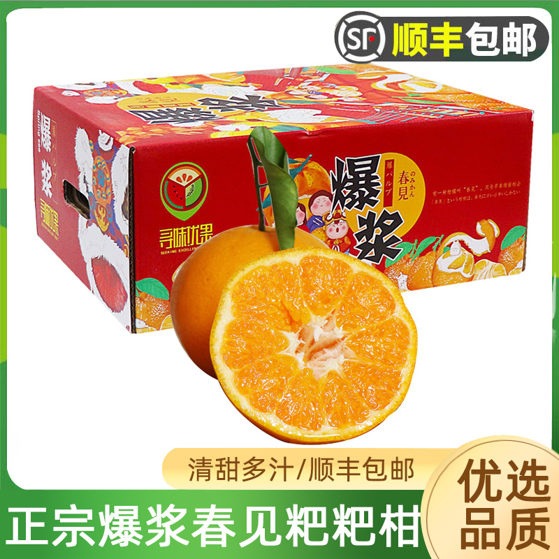 爆浆春见粑粑柑7.5斤大果 清甜多汁新鲜丑八怪蜜橘