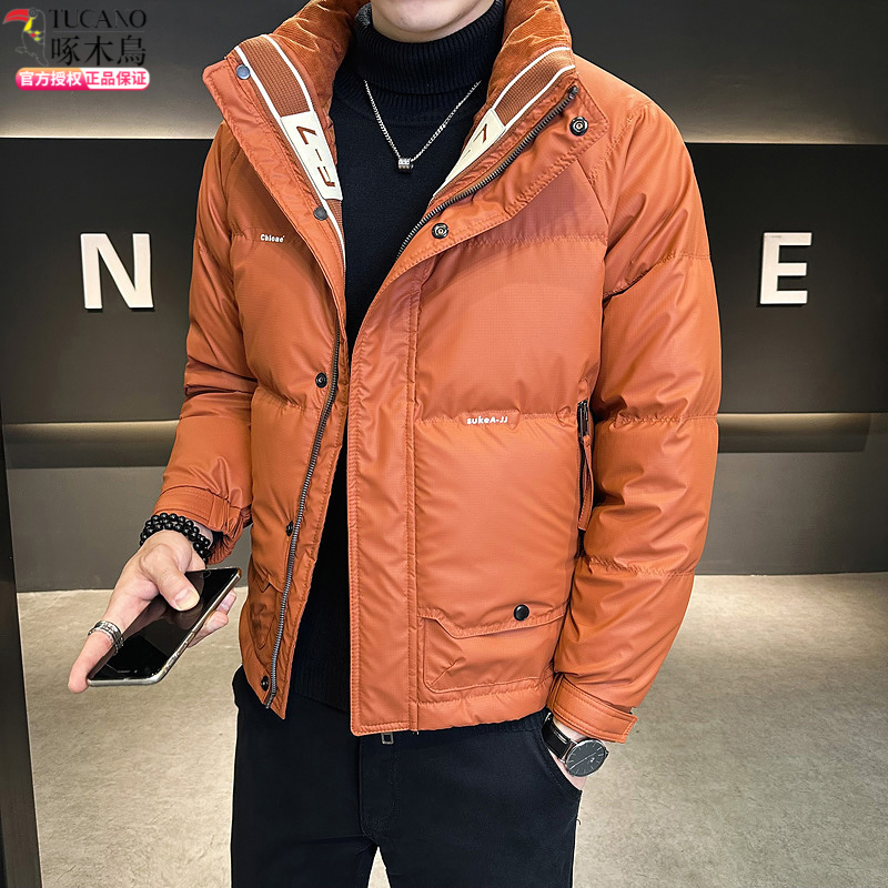 啄木鳥2023年冬季新款青年男士时尚立领纯色白鸭绒羽绒服痞帅外套