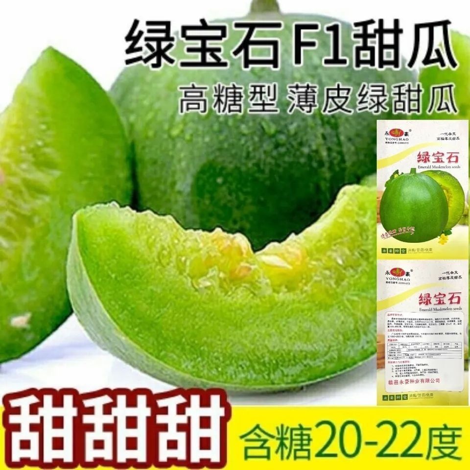 绿宝石甜瓜种子薄皮超甜香瓜种子春季四季脆瓜早熟高产蔬菜水果籽