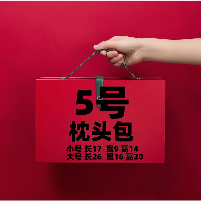 【5号】2023网红时尚百搭休闲枕头包6556轻奢简约