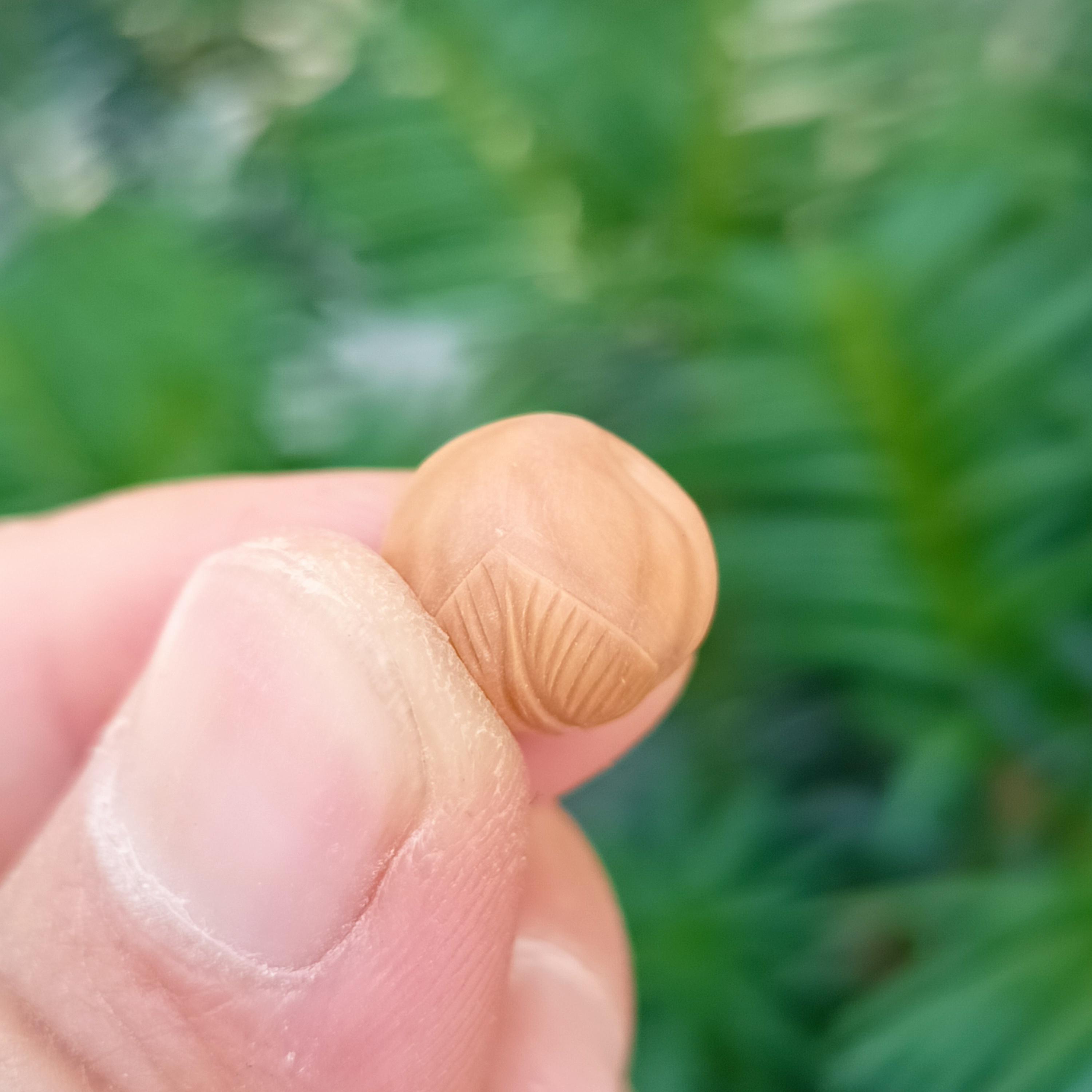 小尺寸手工雕刻猴头核桃寿桃单籽大小可订（客服）