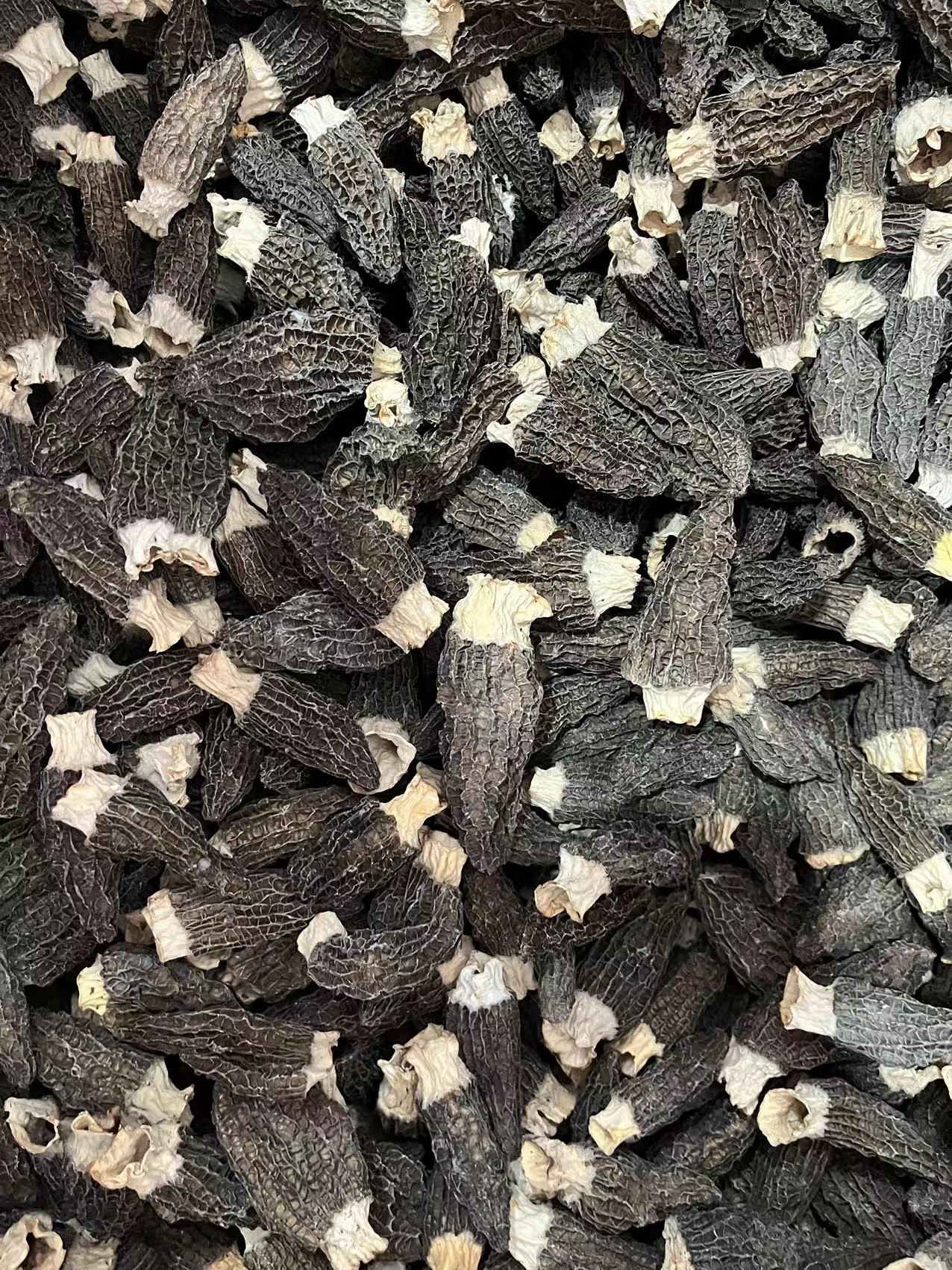 【粉丝福利】头茬细纹 肉质肥厚 7-9羊肚菌