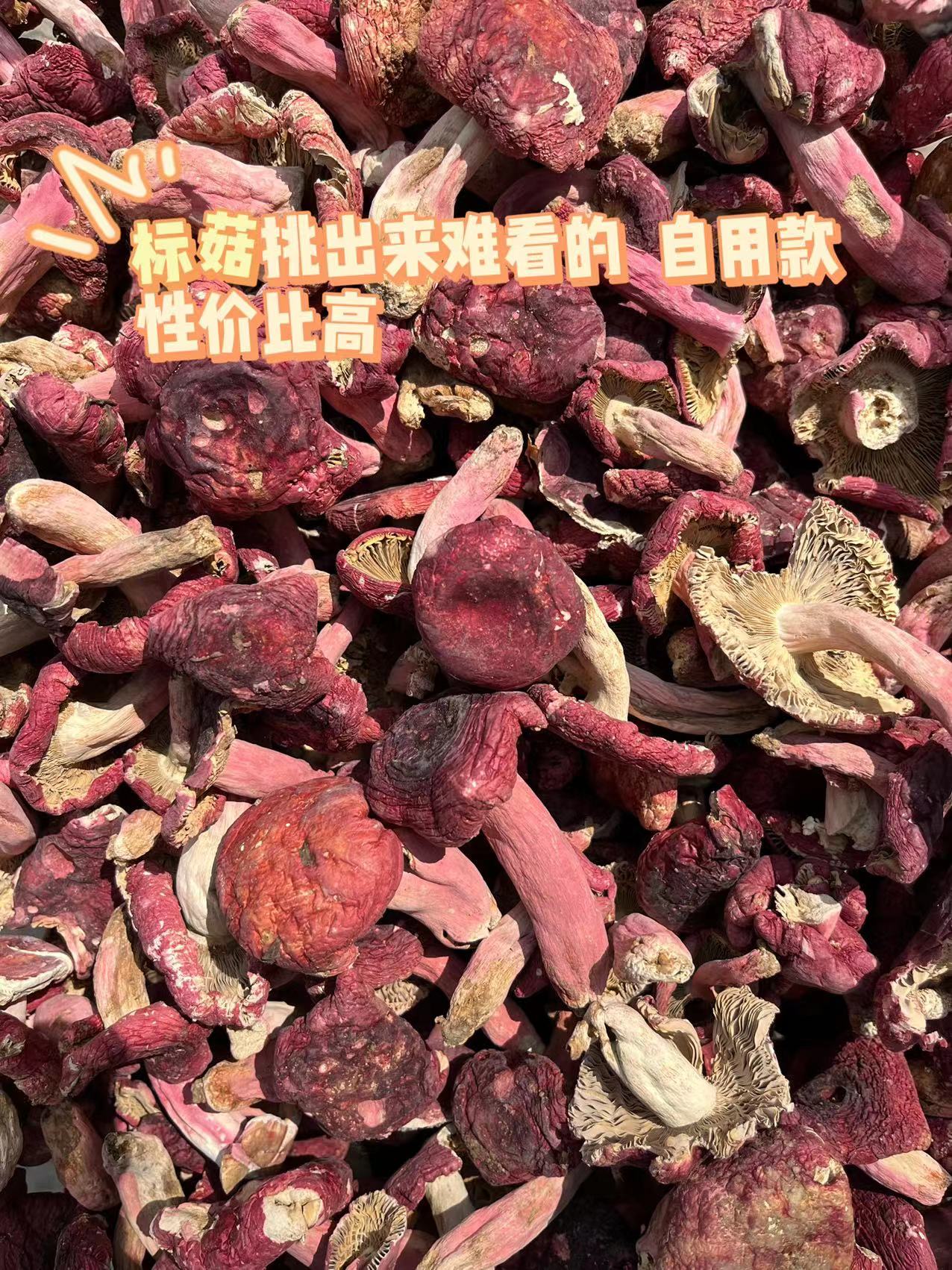 广西红菇 好看云南标菇月子孕妈滋补月子菇