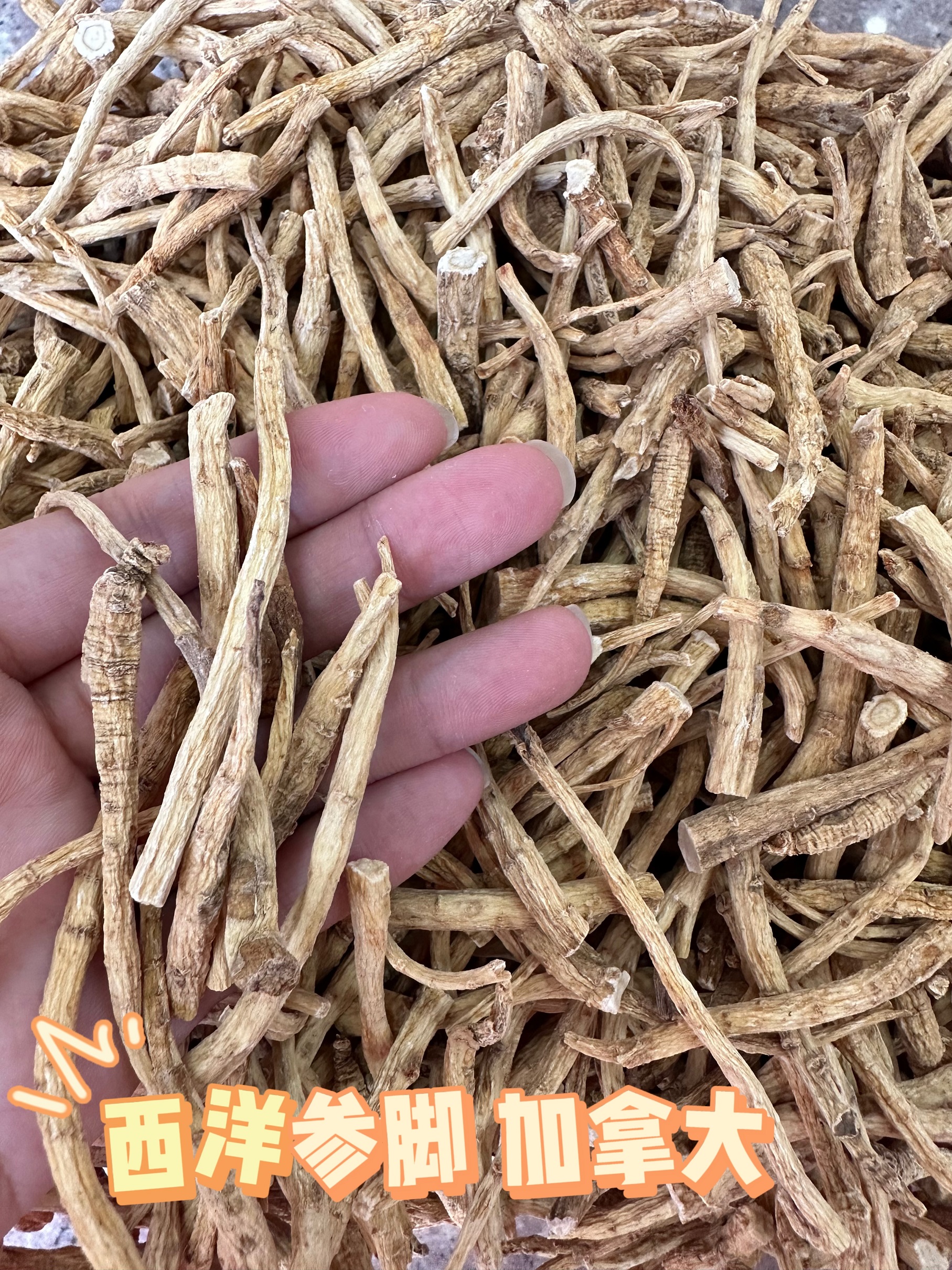 西洋参 太子参 麦冬 性价比 手工炖汤煮水