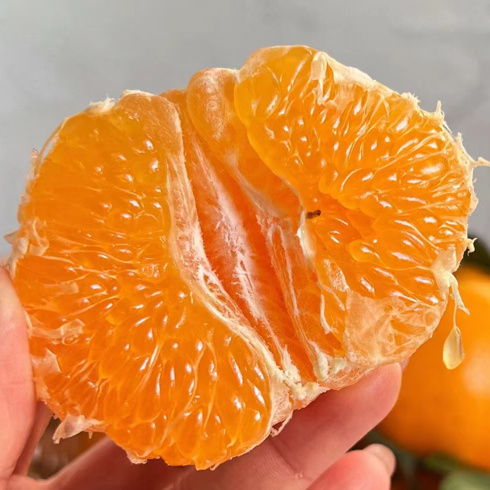 【一小时闪送到家】春见耙耙柑 水果中的鱼子酱 25.8元2斤 特大果 近乎纯甜 甘甜多汁 柑橘风味好四川省