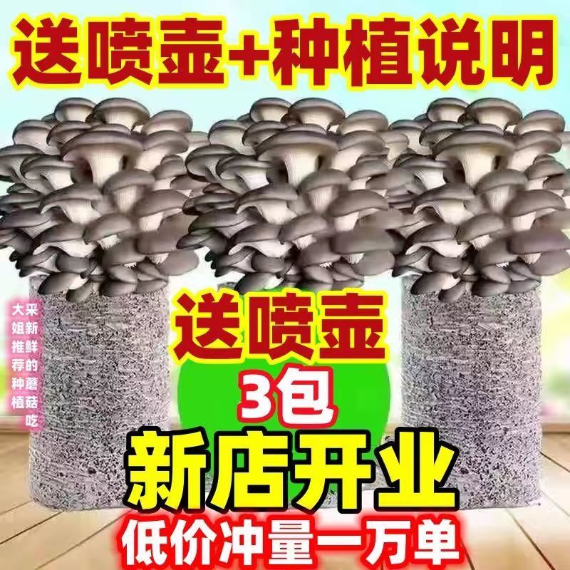买一发三】DIY菌种家种蘑菇菌包家庭室内种植食用菌棒可食用菌菇包