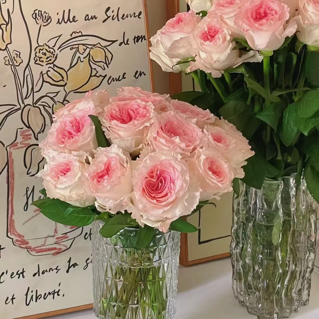 【洛神】花魁娘子洛神 波浪卷边玫瑰  烫头双色系大花型 斗南玫瑰花