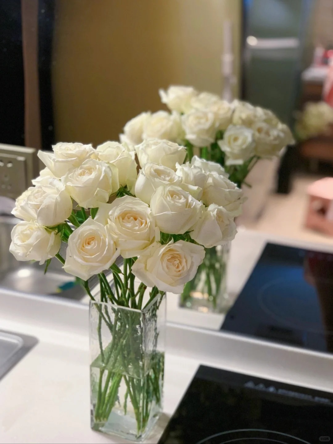 【白雪山】雪白色系高品质玫瑰  云南基地直发 一单顺丰包邮 鲜切  