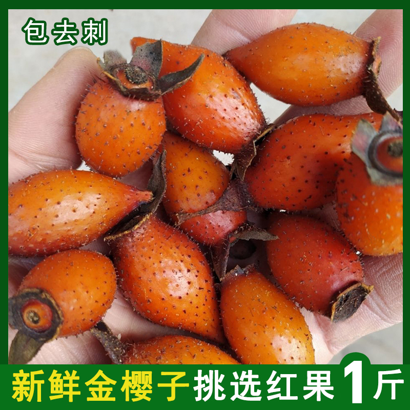 野生全红金樱子新鲜干蜂糖果泡酒刺梨成熟中药材泡水泡茶1斤精选