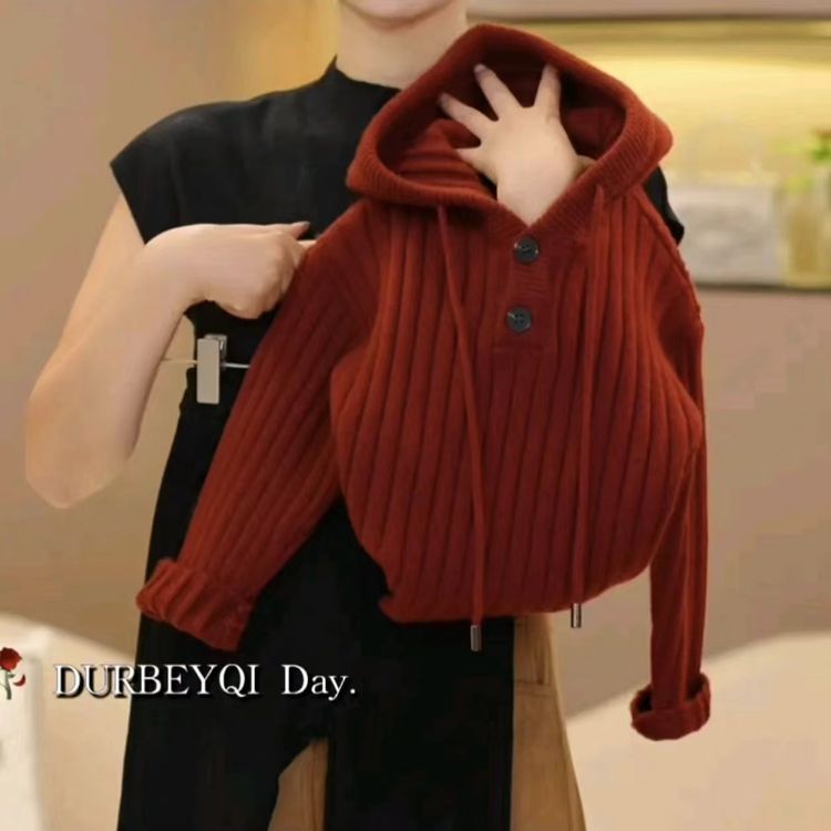 儿童毛衣女款秋冬2025新款女童针织外套冬季帽衫女孩韩版洋气开衫